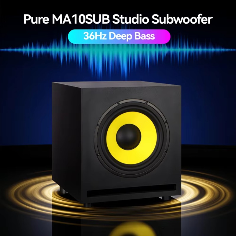 10 Inch Powered Deep Bass Subw - Subwoofer 评论和价格
