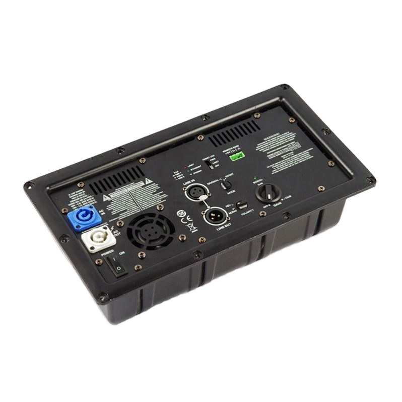 AOSHEN Class D DSP AMP 500x2 W - Subwoofer 评论和价格