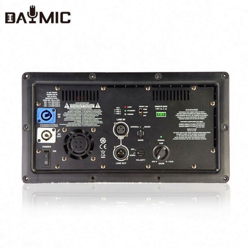 AOSHEN Class D DSP AMP 500x2 W - Subwoofer 评论和价格