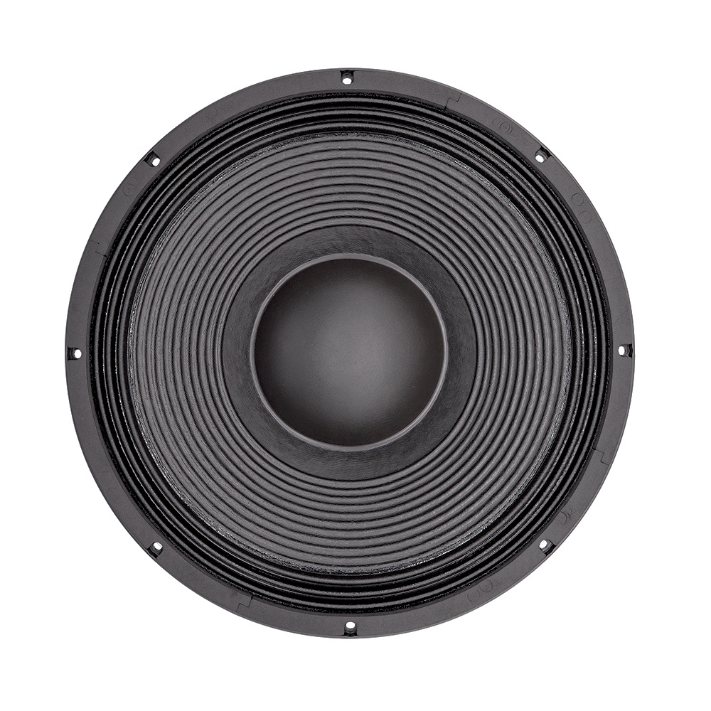 21'' Professional Audio System - Subwoofer 评论和价格